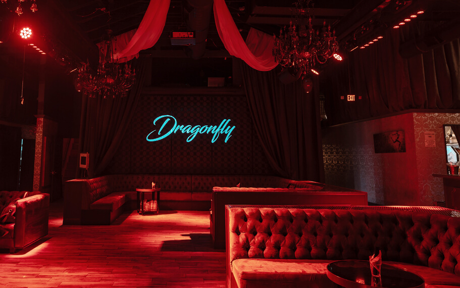 Dragonfly Hollywood
