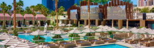 Palm Tree Beach Club at MGM Grand Las Vegas