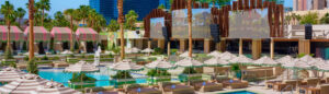 Palm Tree Beach Club Las Vegas